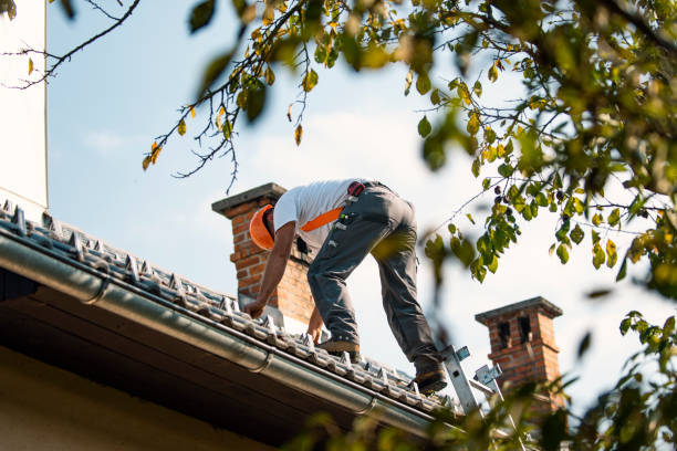 Best Roof Repair Services  in Buhl, MN