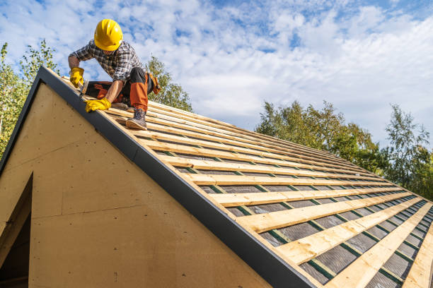 Best Shingle Roofing Installation  in Buhl, MN