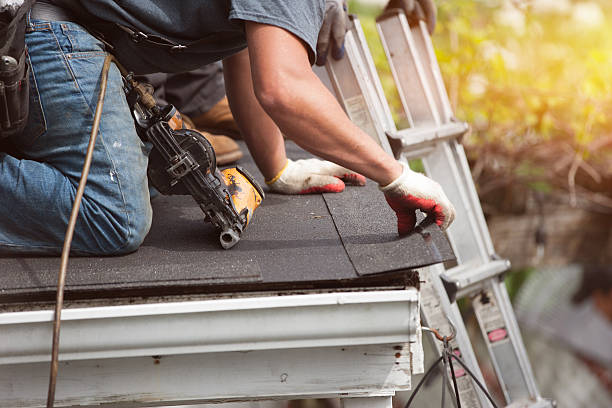 Best Residential Roof Replacement  in Buhl, MN