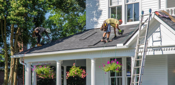 Best Gutter Installation and Roofing  in Buhl, MN