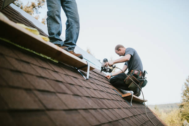 Best Flat Roof Repair Services  in Buhl, MN
